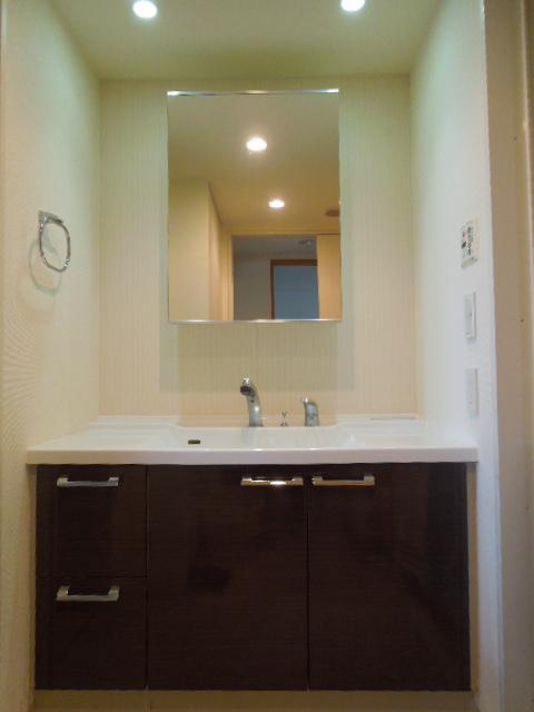 Wash basin, toilet. Vanity (November 2013) Shooting