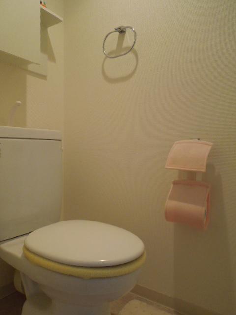 Toilet. Toilet (November 2013) Shooting