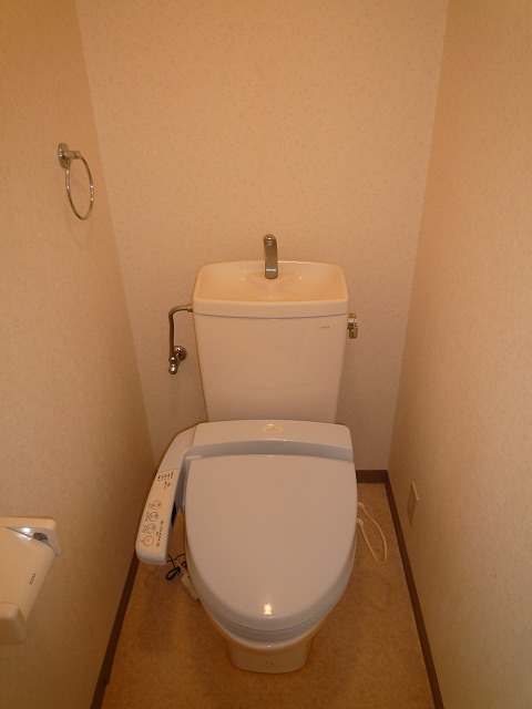 Toilet. Convenient with bidet