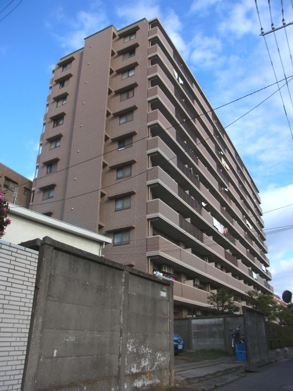 Local appearance photo. Local (January 2014) Shooting