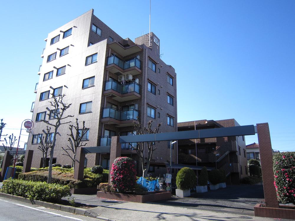 Local appearance photo. Local (12 May 2013) Shooting