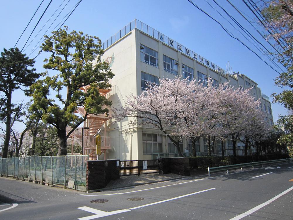 Junior high school. Diplomatic 800m until junior high school