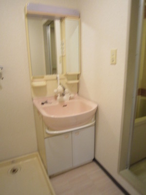 Washroom. Bathroom Vanity