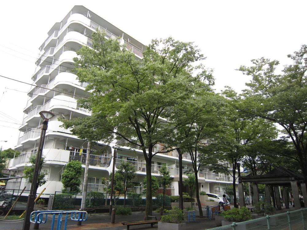 Local appearance photo. Local (September 2013) Shooting