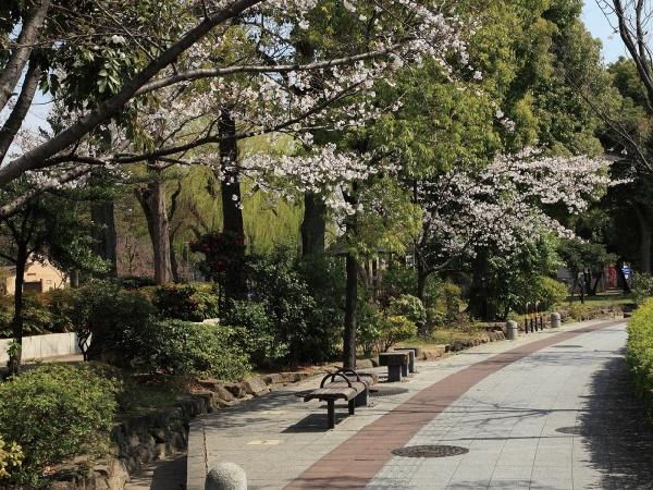 Other Environmental Photo. Hokima is 400m go by walking spot that will heal the hearts of the people to the way of babble.