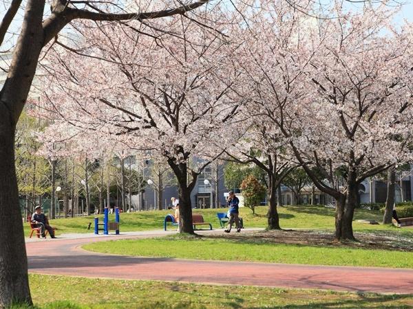 Other Environmental Photo. 800m Gymnasium until Hanaho Central Park, Pool, Tennis court, Square, such as a variety of facilities that dog lovers we gather. Distance from the local, we have measured from the north side of the subdivision.