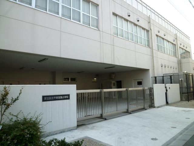 Primary school. Senju Futaba until elementary school 750m