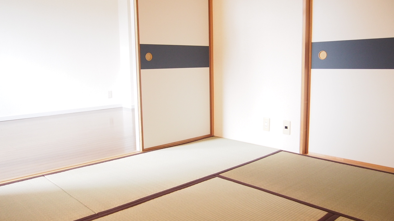 Other room space. Next to the living room is located in a cozy Japanese-style!