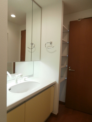 Washroom. Shampoo dresser