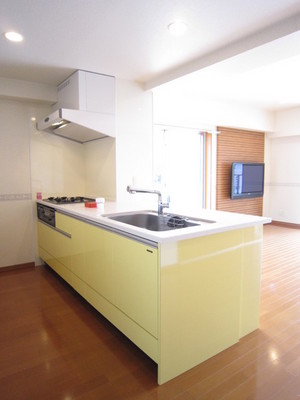 Kitchen. A feeling of opening party kitchen specification (with disposer). 