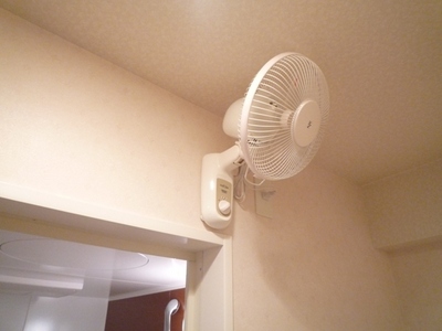 Other Equipment. Wall-mounted fan in the dressing room. After bath refreshing items