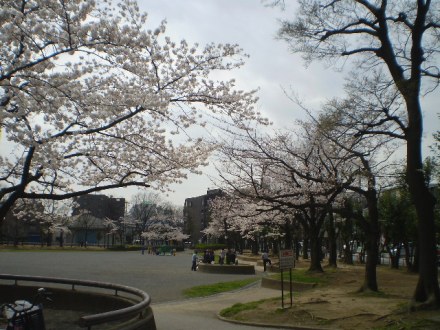 park. 478m until Yazaike park (park)