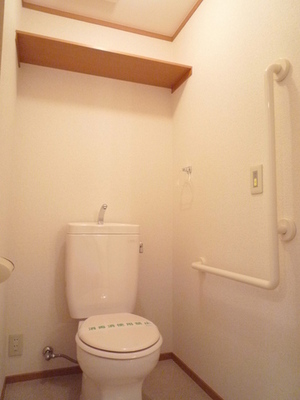 Toilet. Toilet is a shelf at the top