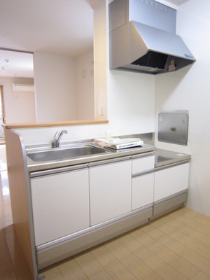 Kitchen. Counter kitchen (two-burner gas stove installation Allowed)