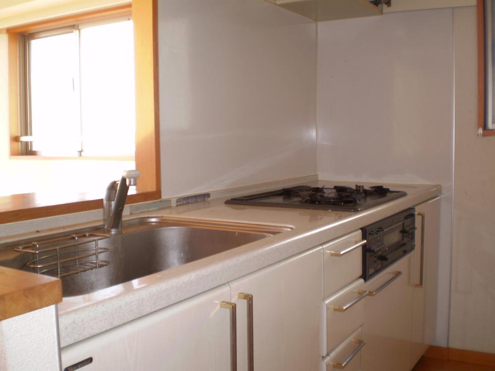 Kitchen. Indoor (11 May 2013) Shooting