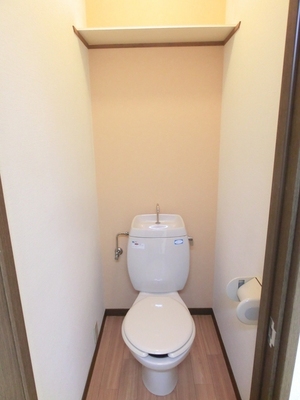 Toilet. It is also convenient to put things on top of the shelf! 