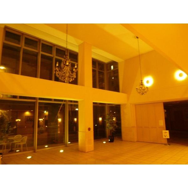 Other introspection. Shared entrance (at night)