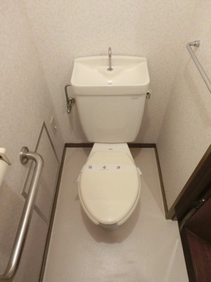 Toilet. Bus toilet by Handrail equipped