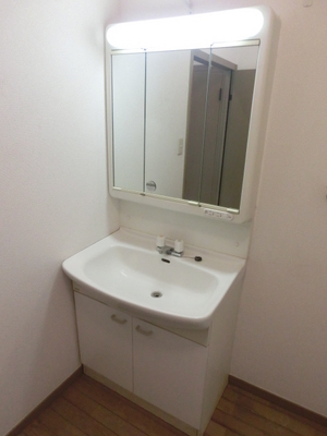 Washroom. Equipped with independent wash basin in the dressing room