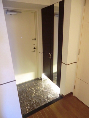 Entrance. Full-length mirror with a tall type shoes BOX