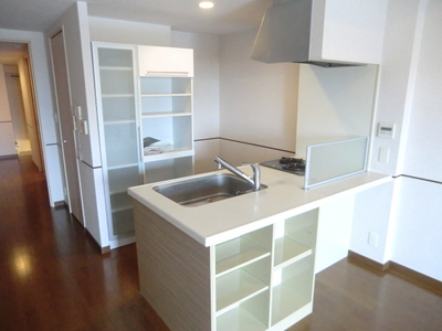 Kitchen. Counter system with kitchen disposer