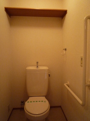 Toilet. Toilet is a shelf at the top