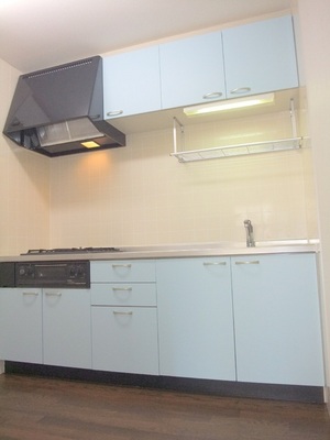 Kitchen. System kitchen with gas three-necked grill