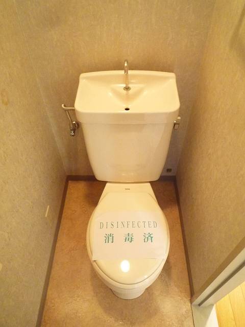 Toilet. Toilet