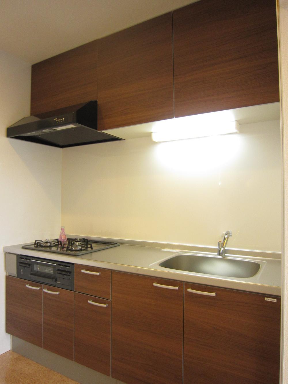 Kitchen. Indoor (11 May 2013) Shooting