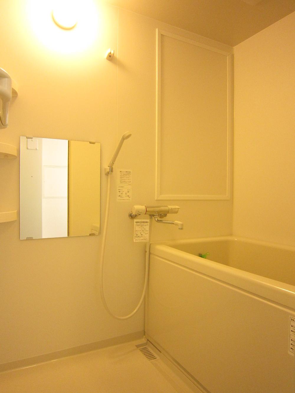 Bathroom. Indoor (11 May 2013) Shooting