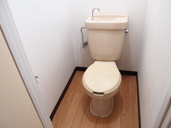 Living and room. Toilet