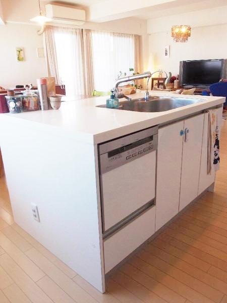 Kitchen. Island kitchen (dishwasher ・ water filter ・ Disposer comes with a. )