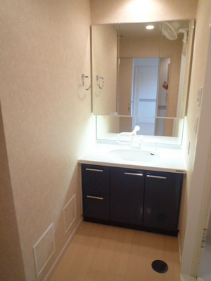 Washroom. Bathroom Vanity