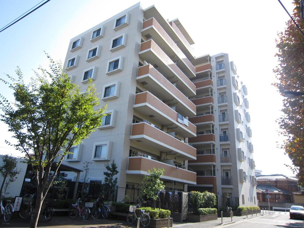 Local appearance photo. Local (11 May 2013) Shooting