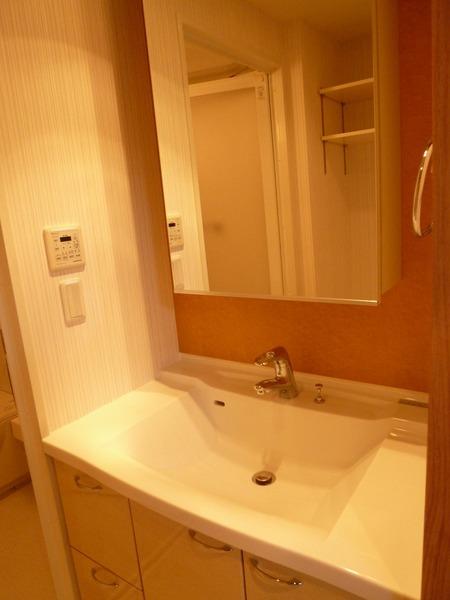 Wash basin, toilet. Shampoo with Dresser!