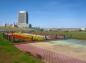 park. 52m to the rainbow of open space (park)