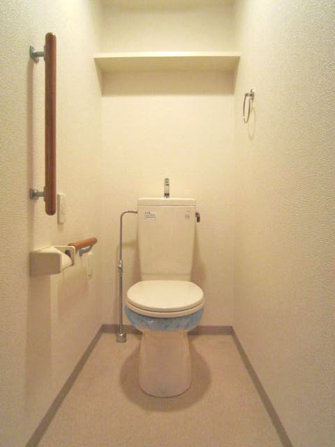 Toilet. With toilet in the shelf