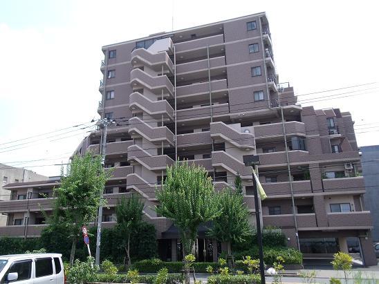 Local appearance photo. Local (August 2012) shooting