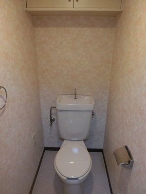 Toilet. Toilet with storage shelf