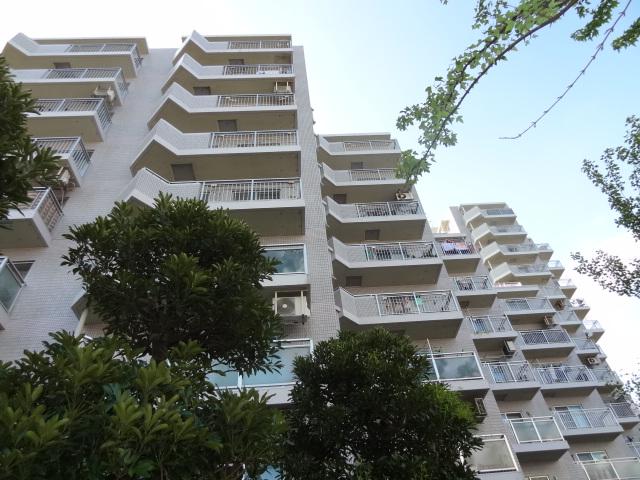 Local appearance photo. Local (11 May 2013) Shooting