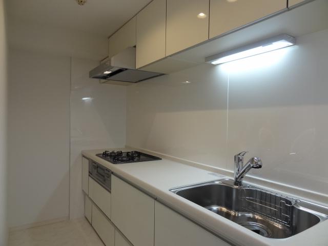 Kitchen. Indoor (11 May 2013) Shooting