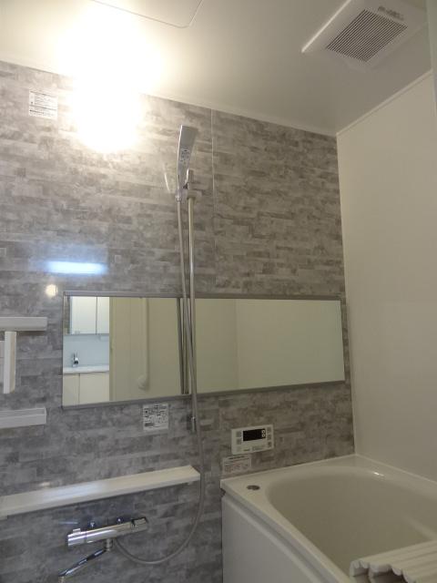 Bathroom. Indoor (11 May 2013) Shooting