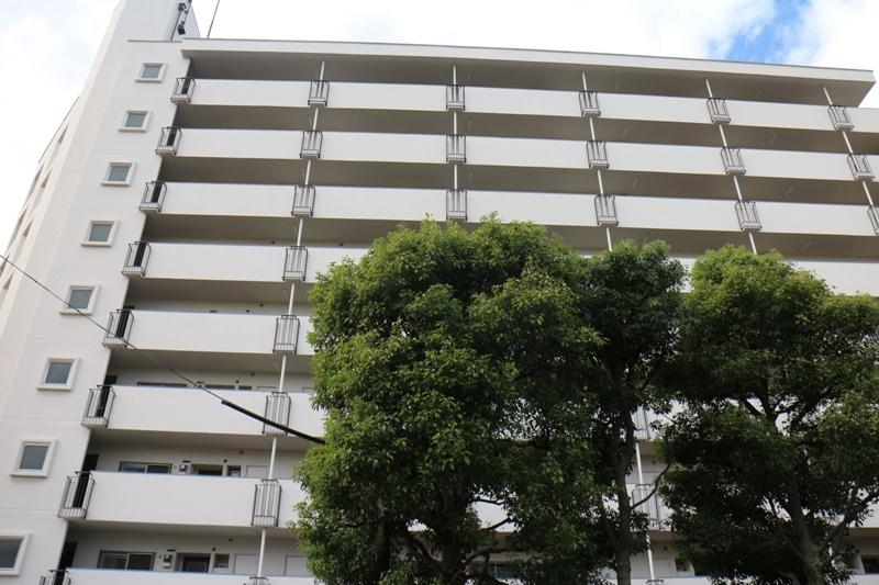 Local appearance photo. Local (10 May 2013) Shooting