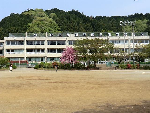 Other. Itsukaichi junior high school