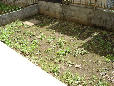 Other. Garden (1F only)