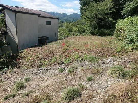 Local land photo