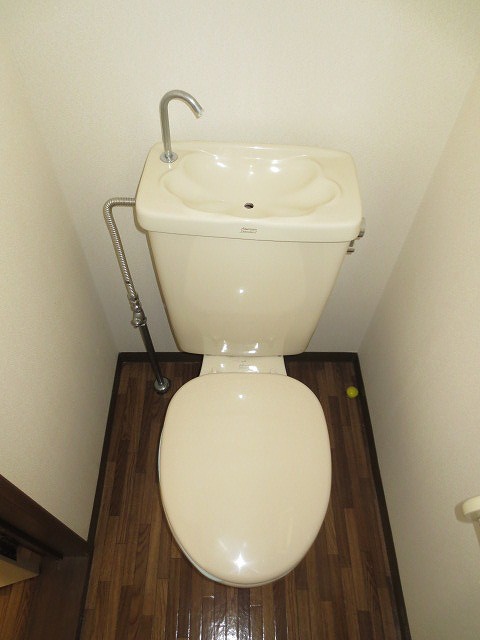 Toilet. Shang mood in clean toilet