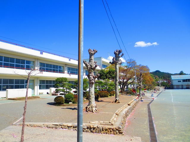 Primary school. 1413m to Akiruno Municipal Itsukaichi elementary school (elementary school)