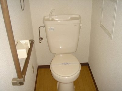 Toilet. Toilet handrail with