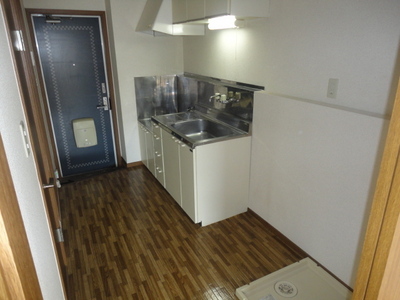 Kitchen. Kitchen space